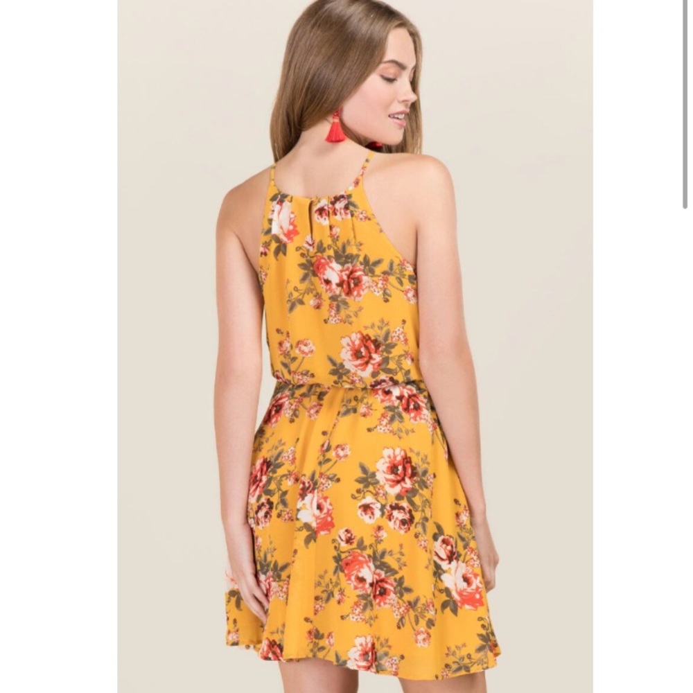 🆕•HP• Francesca’s Marisole A-Line Dress - Picture 3 of 8